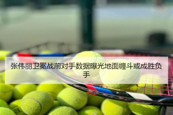 张伟丽卫冕战前对手数据曝光地面缠斗或成胜负手